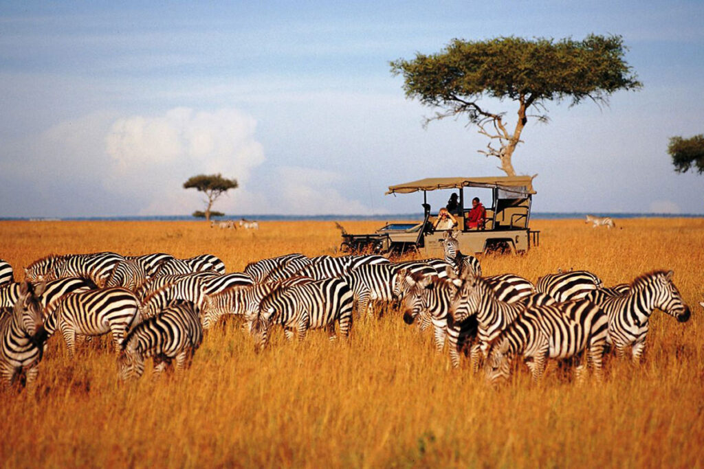The Serengeti Safari Adventure