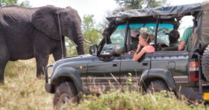 The Serengeti Safari Adventure