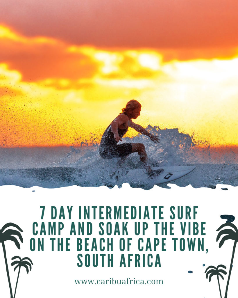 Surf in Cape Town