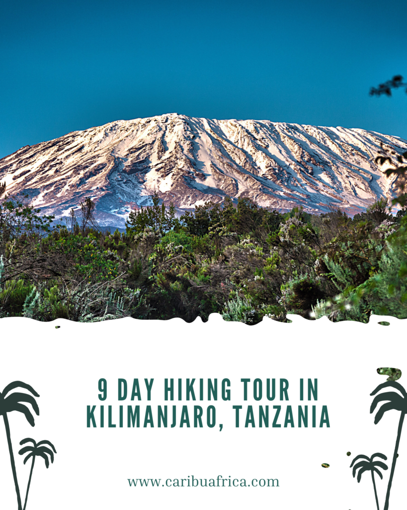 8 Days Hiking in mount Kilimanjaro