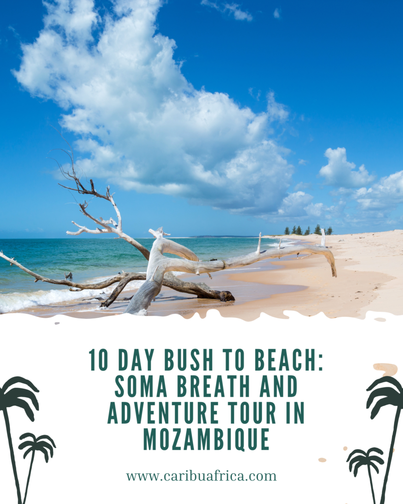 10 Days Bush to Beach: Mozambique