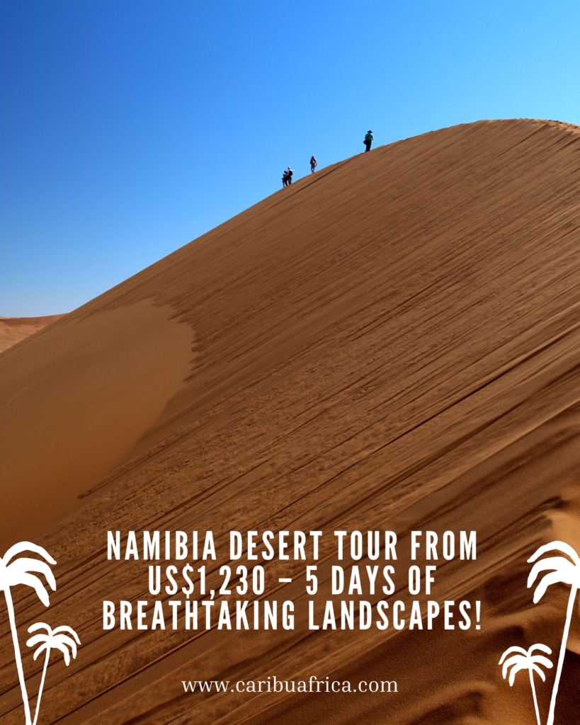 Namibia Dessert Tour